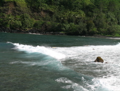 surf